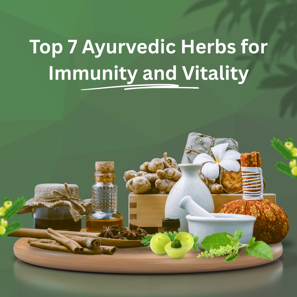 Top 7 Ayurvedic Herbs for Immunity and Vitality