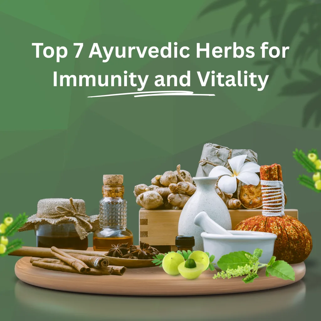 Top 7 Ayurvedic Herbs for Immunity and Vitality
