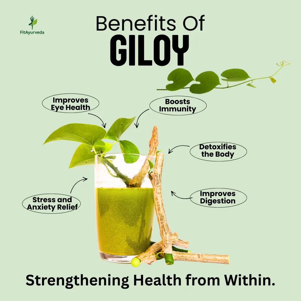 Giloy Benefits