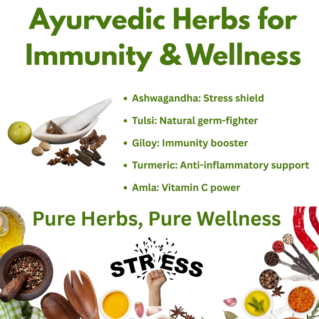 Ayurvedic Herbs for Immunity & Wellness